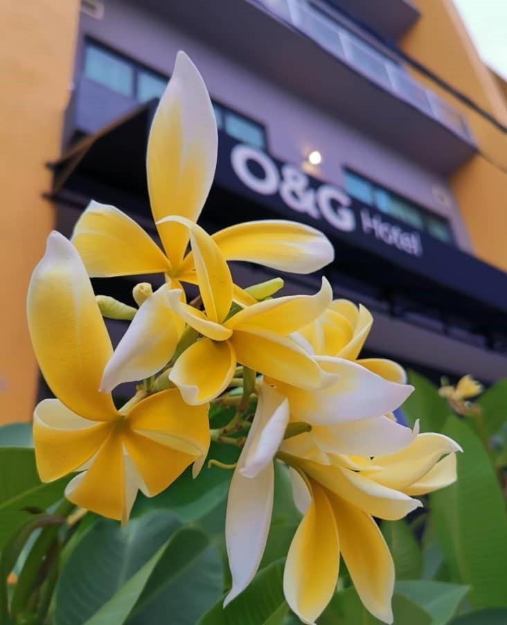O&G Hotel Parit Buntar Kültér fotó